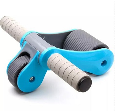 https://www.risegroupfitness.com/foldable-abs-workout-kit-with-knee-pad-ab-wheel-roller.html