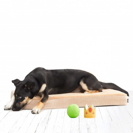 Machine Washable, Reusable Pad/Quilted Dog Pad/Waterproof Puppy Training Pad/Housebreaking