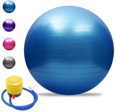 Durable Custom Printed Fitness Gym 65cm Balance Pilates Ball