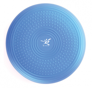 Stability Core balance board disc